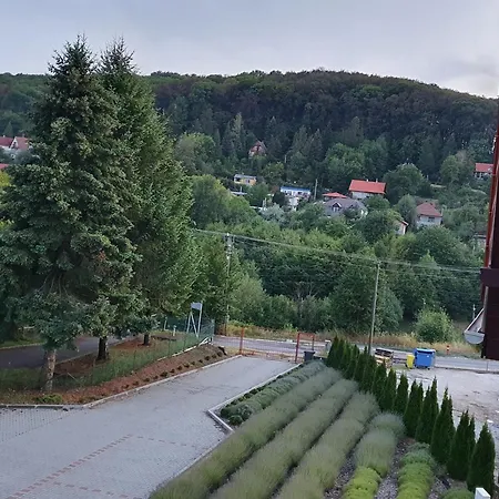 Levendula2 * Bukkszentkereszt