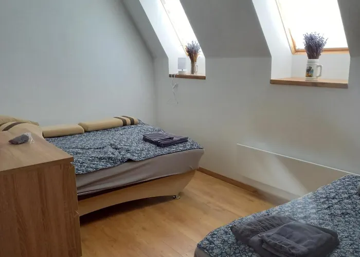 Levendula2 Bukkszentkereszt