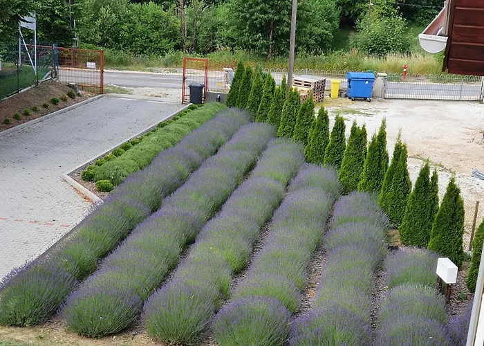 Levendula2 Lejlighed Bukkszentkereszt